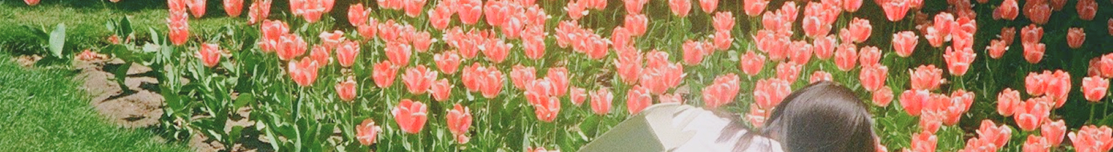 spring has sprung in toronto and i captured it through my Olympus XA2